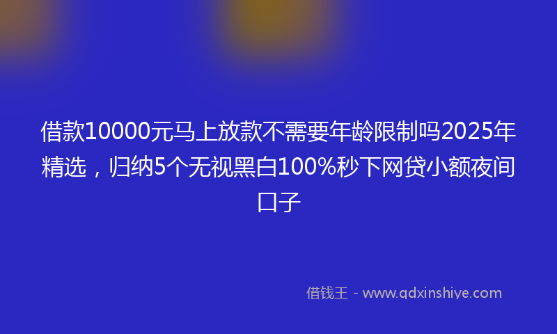借款10000元马上放款不需要年龄限制吗2025年精选，归纳5个无视黑白100%秒下网贷小额夜间口子