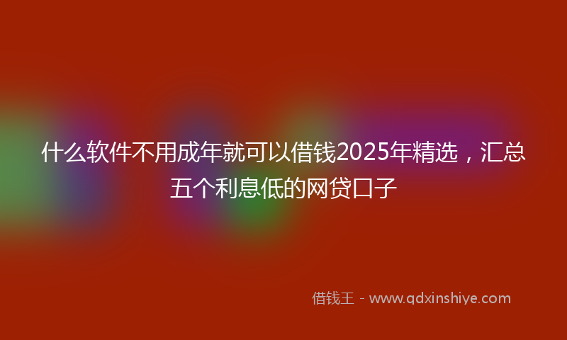 什么软件不用成年就可以借钱2025年精选，汇总五个利息低的网贷口子