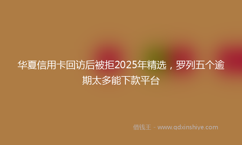 华夏信用卡回访后被拒2025年精选，罗列五个逾期太多能下款平台