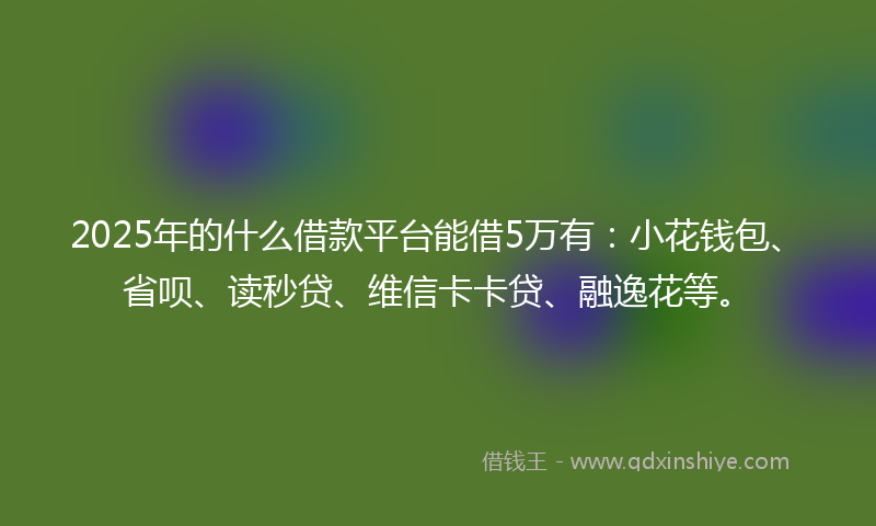 2025年的什么借款平台能借5万有：小花钱包、省呗、读秒贷、维信卡卡贷、融逸花等。
