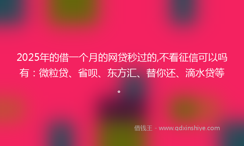 2025年的借一个月的网贷秒过的,不看征信可以吗有：微粒贷、省呗、东方汇、替你还、滴水贷等。