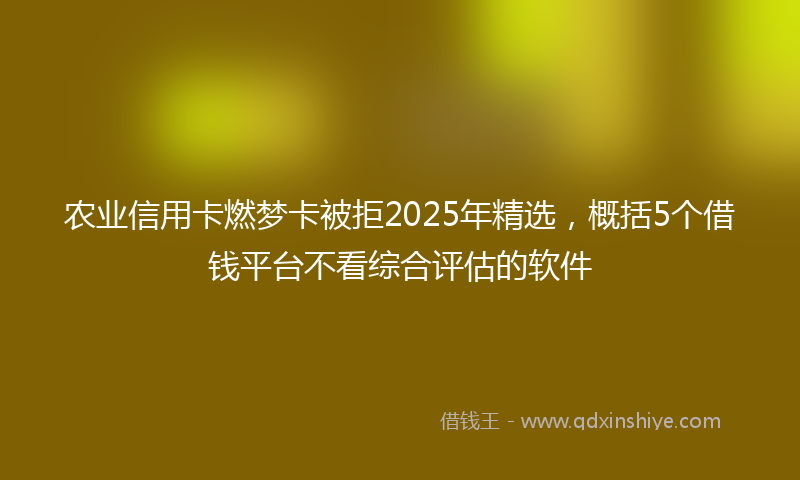 农业信用卡燃梦卡被拒2025年精选，概括5个借钱平台不看综合评估的软件