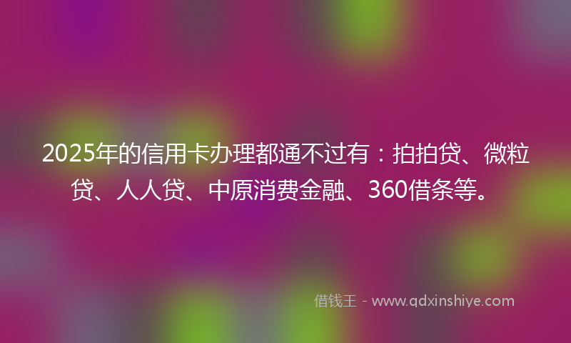 2025年的信用卡办理都通不过有：拍拍贷、微粒贷、人人贷、中原消费金融、360借条等。