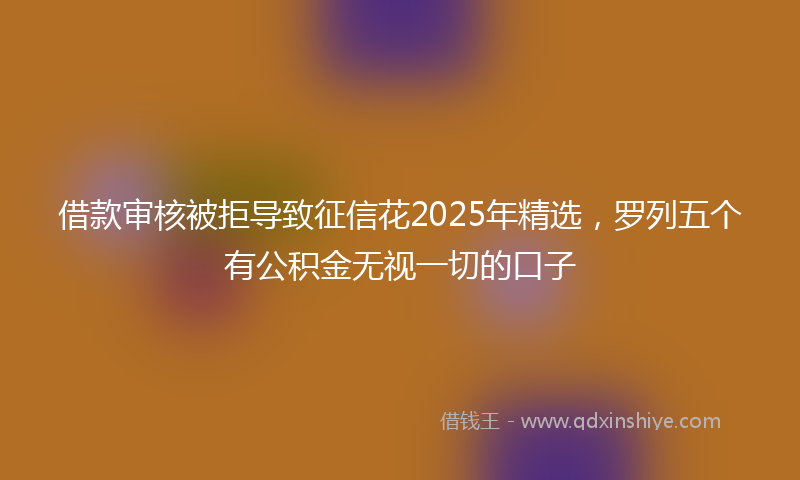 借款审核被拒导致征信花2025年精选，罗列五个有公积金无视一切的口子