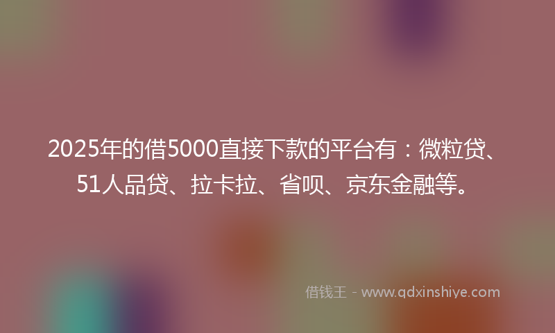 2025年的借5000直接下款的平台有：微粒贷、51人品贷、拉卡拉、省呗、京东金融等。