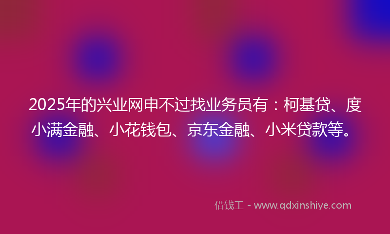 2025年的兴业网申不过找业务员有：柯基贷、度小满金融、小花钱包、京东金融、小米贷款等。