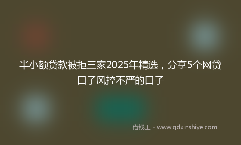 半小额贷款被拒三家2025年精选，分享5个网贷口子风控不严的口子