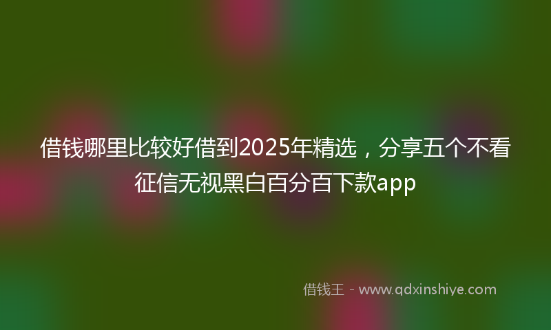 借钱哪里比较好借到2025年精选，分享五个不看征信无视黑白百分百下款app