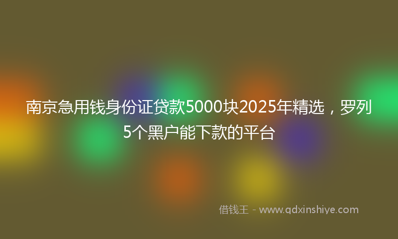 南京急用钱身份证贷款5000块2025年精选，罗列5个黑户能下款的平台