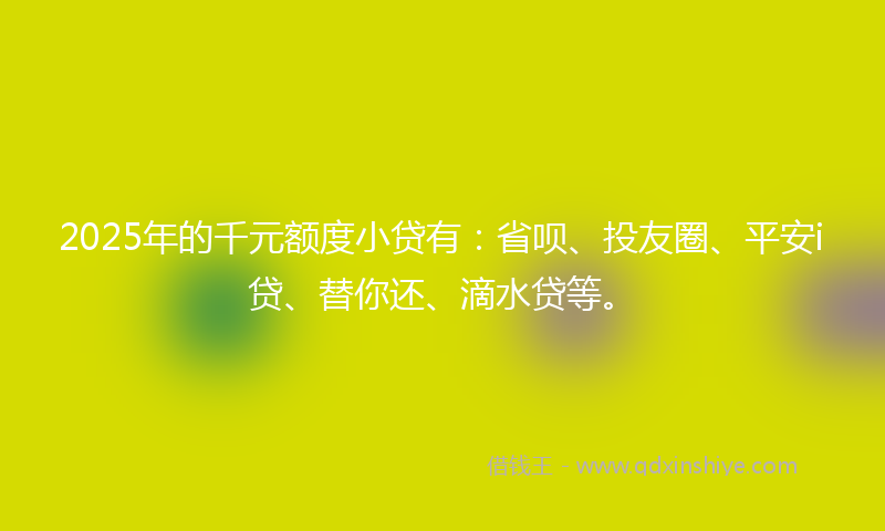 2025年的千元额度小贷有：省呗、投友圈、平安i贷、替你还、滴水贷等。