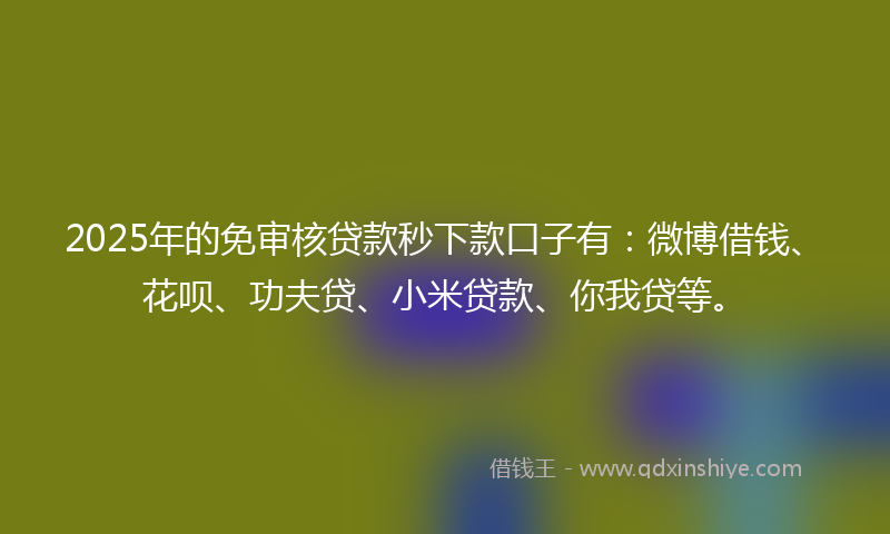 2025年的免审核贷款秒下款口子有：微博借钱、花呗、功夫贷、小米贷款、你我贷等。