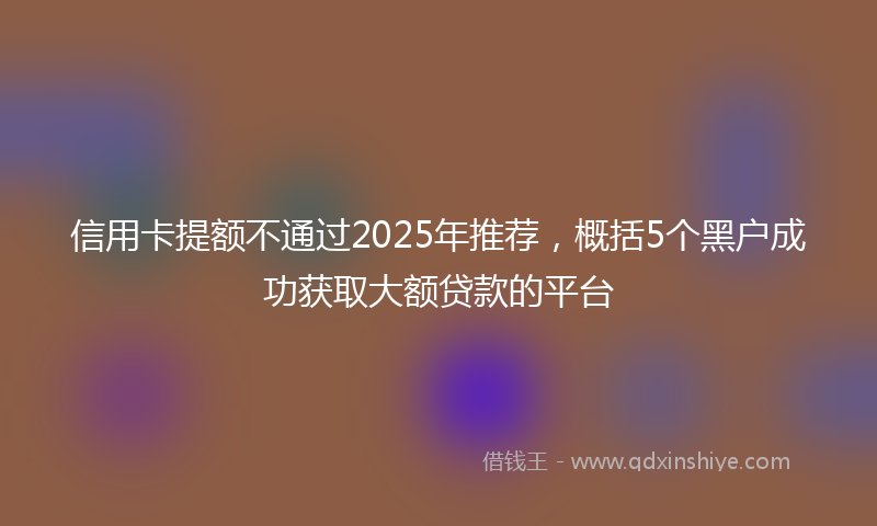 信用卡提额不通过2025年推荐，概括5个黑户成功获取大额贷款的平台