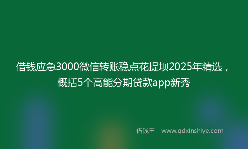 借钱应急3000微信转账稳点花提坝2025年精选，概括5个高能分期贷款app新秀