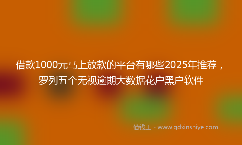 借款1000元马上放款的平台有哪些2025年推荐，罗列五个无视逾期大数据花户黑户软件