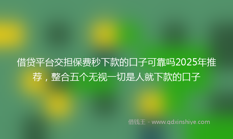 借贷平台交担保费秒下款的口子可靠吗2025年推荐，整合五个无视一切是人就下款的口子