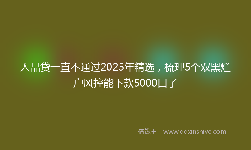 人品贷一直不通过2025年精选，梳理5个双黑烂户风控能下款5000口子