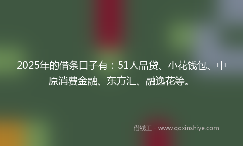 2025年的借条口子有：51人品贷、小花钱包、中原消费金融、东方汇、融逸花等。