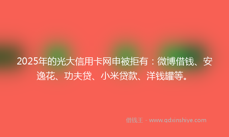 2025年的光大信用卡网申被拒有：微博借钱、安逸花、功夫贷、小米贷款、洋钱罐等。