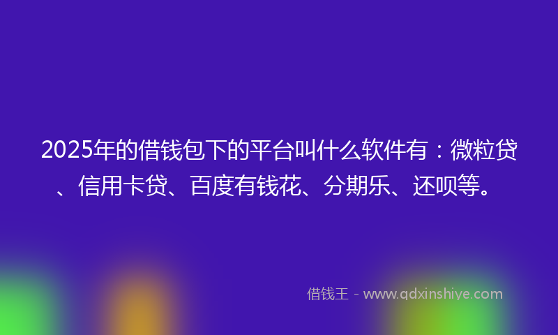 2025年的借钱包下的平台叫什么软件有：微粒贷、信用卡贷、百度有钱花、分期乐、还呗等。