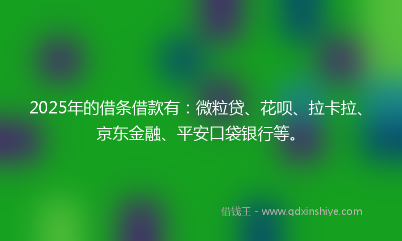 2025年的借条借款有：微粒贷、花呗、拉卡拉、京东金融、平安口袋银行等。
