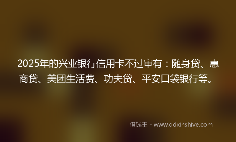2025年的兴业银行信用卡不过审有：随身贷、惠商贷、美团生活费、功夫贷、平安口袋银行等。