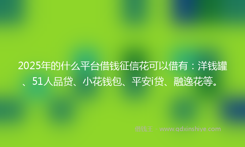 2025年的什么平台借钱征信花可以借有：洋钱罐、51人品贷、小花钱包、平安i贷、融逸花等。