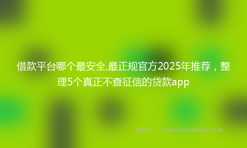 借款平台哪个最安全,最正规官方2025年推荐，整理5个真正不查征信的贷款app