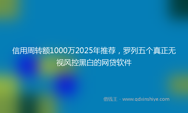 信用周转额1000万2025年推荐，罗列五个真正无视风控黑白的网贷软件