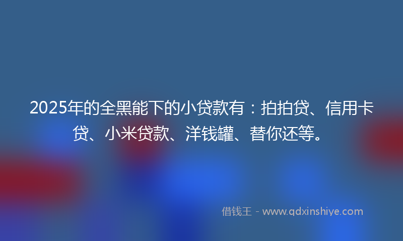 2025年的全黑能下的小贷款有：拍拍贷、信用卡贷、小米贷款、洋钱罐、替你还等。