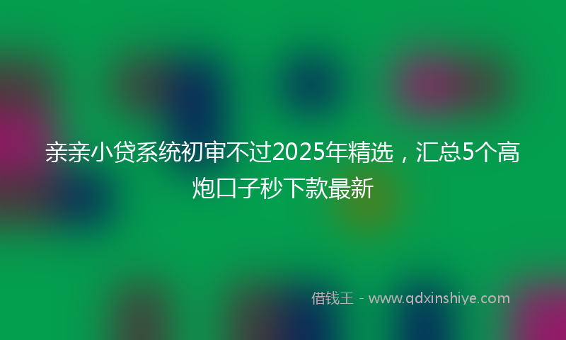 亲亲小贷系统初审不过2025年精选,汇总5个高炮口子秒下款最新