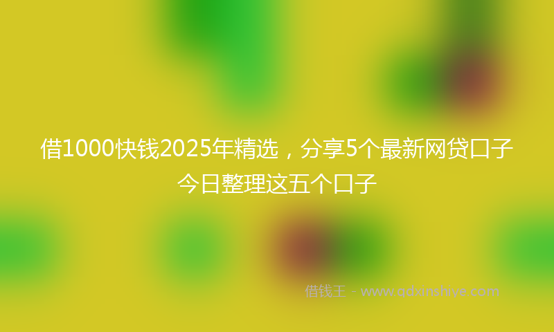 借1000快钱2025年精选，分享5个最新网贷口子今日整理这五个口子