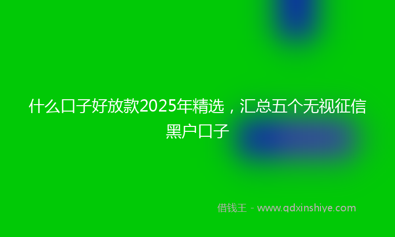 什么口子好放款2025年精选，汇总五个无视征信黑户口子