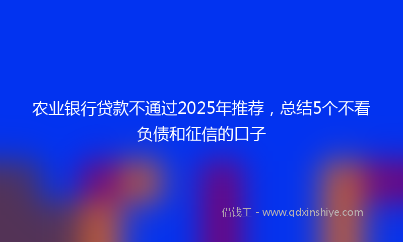 农业银行贷款不通过2025年推荐，总结5个不看负债和征信的口子