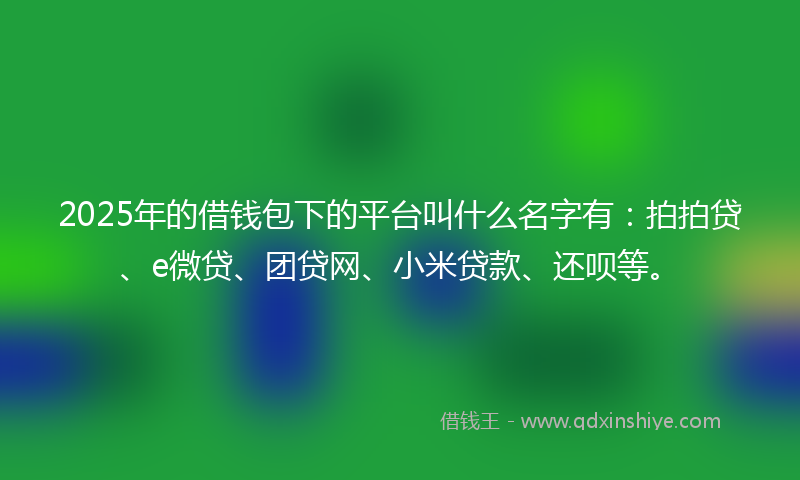 2025年的借钱包下的平台叫什么名字有：拍拍贷、e微贷、团贷网、小米贷款、还呗等。