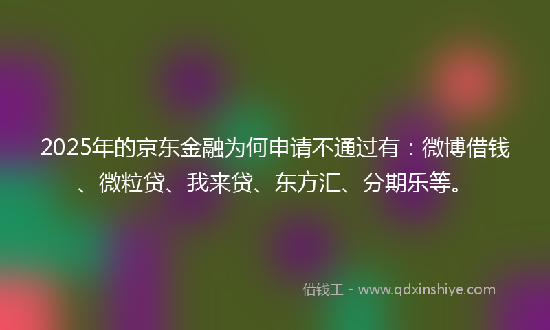 2025年的京东金融为何申请不通过有：微博借钱、微粒贷、我来贷、东方汇、分期乐等。