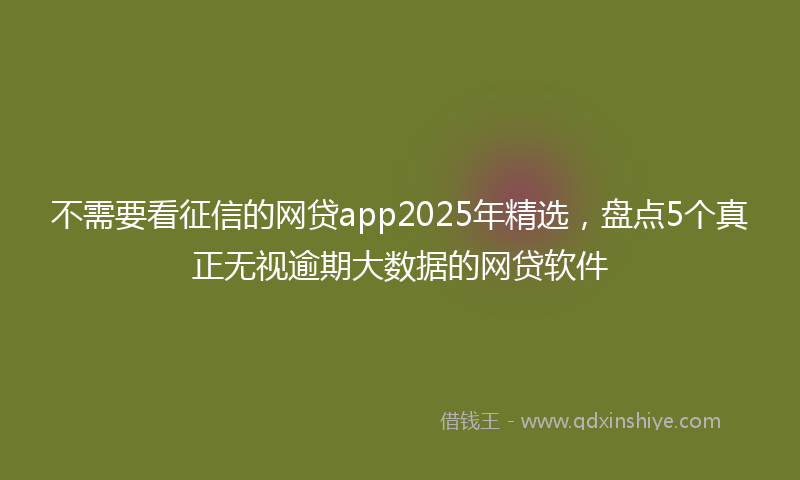 不需要看征信的网贷app2025年精选，盘点5个真正无视逾期大数据的网贷软件