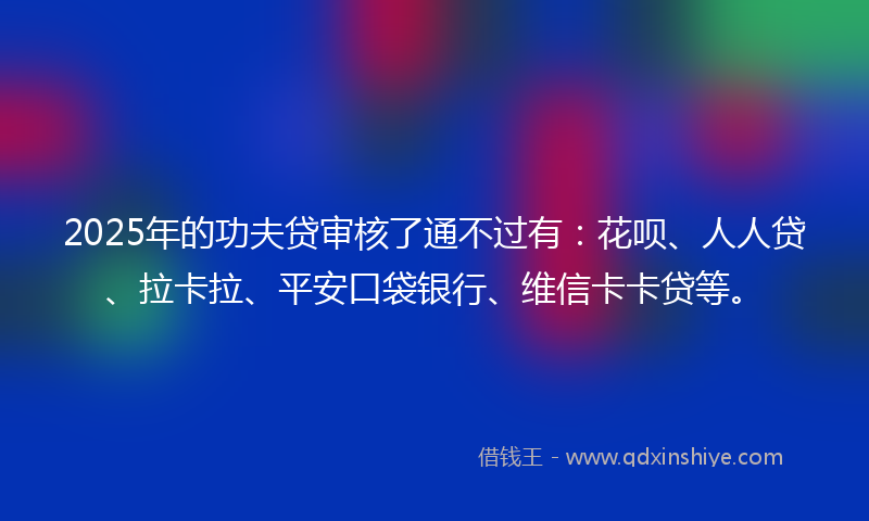2025年的功夫贷审核了通不过有：花呗、人人贷、拉卡拉、平安口袋银行、维信卡卡贷等。
