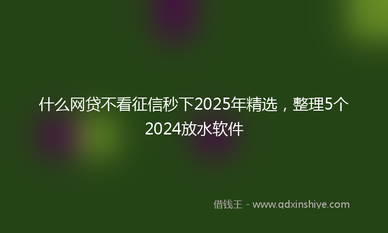 什么网贷不看征信秒下2025年精选，整理5个2024放水软件