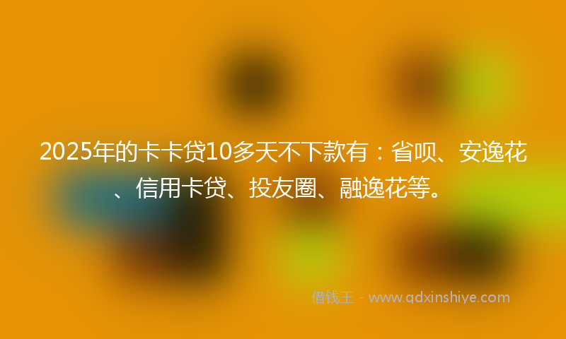 2025年的卡卡贷10多天不下款有：省呗、安逸花、信用卡贷、投友圈、融逸花等。
