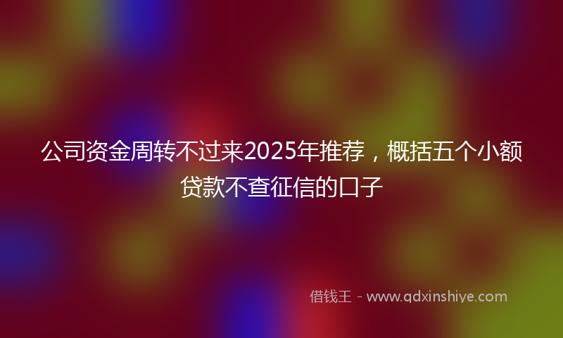 公司资金周转不过来2025年推荐，概括五个小额贷款不查征信的口子