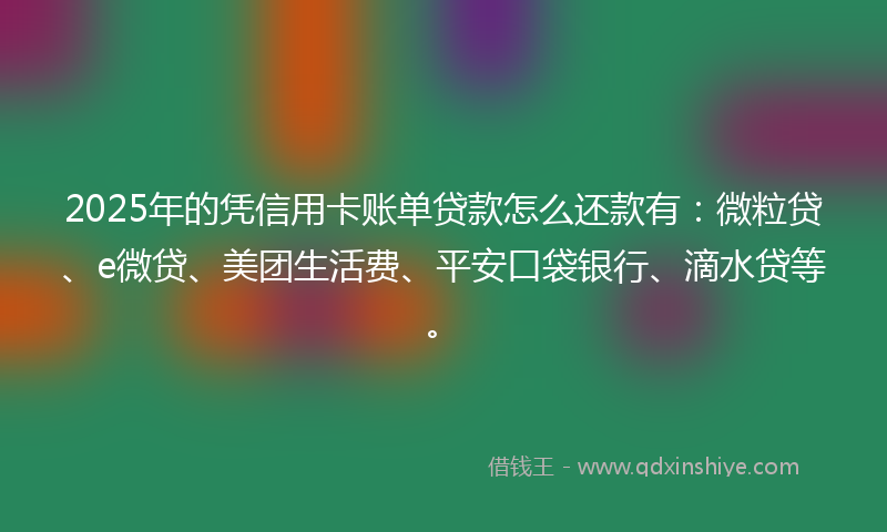 2025年的凭信用卡账单贷款怎么还款有：微粒贷、e微贷、美团生活费、平安口袋银行、滴水贷等。