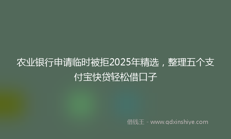 农业银行申请临时被拒2025年精选，整理五个支付宝快贷轻松借口子