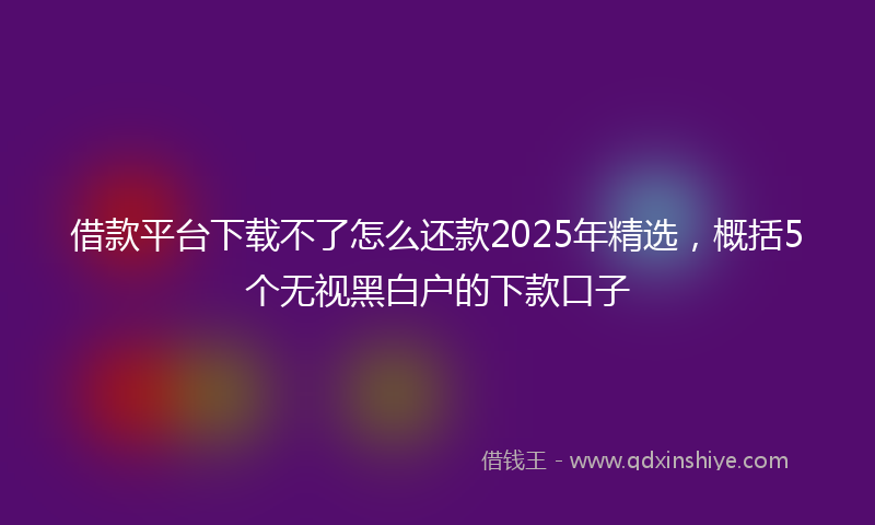 借款平台下载不了怎么还款2025年精选，概括5个无视黑白户的下款口子