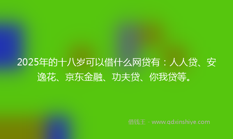 2025年的十八岁可以借什么网贷有：人人贷、安逸花、京东金融、功夫贷、你我贷等。