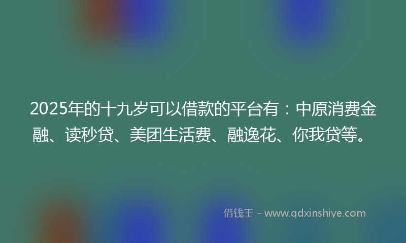 2025年的十九岁可以借款的平台有：中原消费金融、读秒贷、美团生活费、融逸花、你我贷等。
