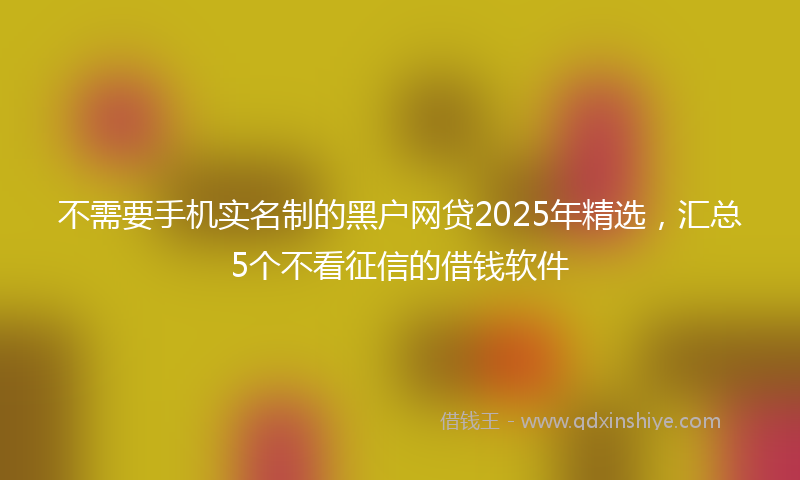 不需要手机实名制的黑户网贷2025年精选，汇总5个不看征信的借钱软件