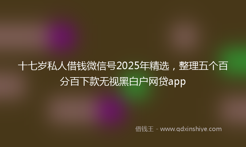 十七岁私人借钱微信号2025年精选，整理五个百分百下款无视黑白户网贷app