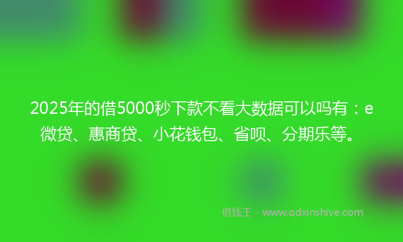 2025年的借5000秒下款不看大数据可以吗有：e微贷、惠商贷、小花钱包、省呗、分期乐等。