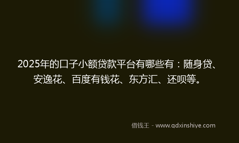 2025年的口子小额贷款平台有哪些有：随身贷、安逸花、百度有钱花、东方汇、还呗等。