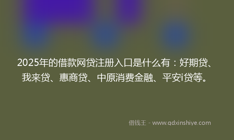 2025年的借款网贷注册入口是什么有：好期贷、我来贷、惠商贷、中原消费金融、平安i贷等。